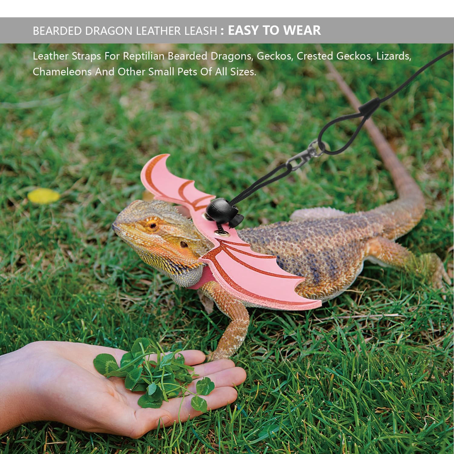 Yosadol Bearded Dragon Leash pink wings — stylish outdoor walks with secure control.