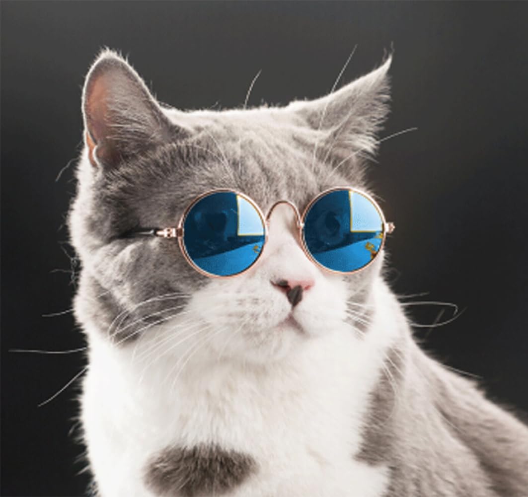 Yosbabe pet-sunglasses for stylish outings and cute portraits.