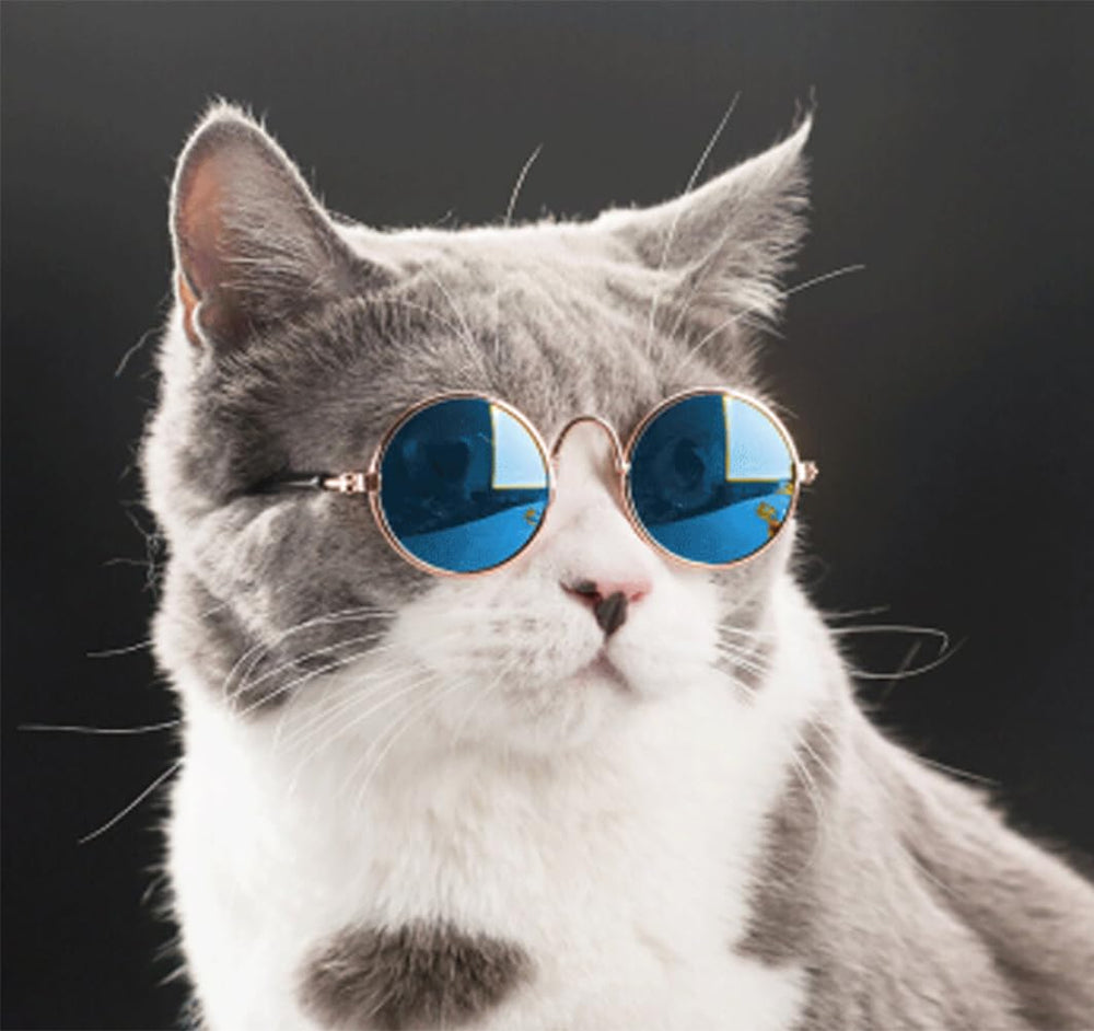 Yosbabe pet-sunglasses for stylish outings and cute portraits.