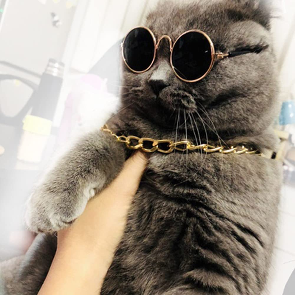 Yosbabe small-dog-cat-costume-ensemble ready for grooming and photos.
