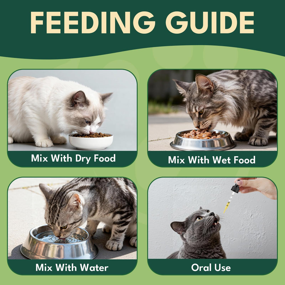 YOTANGO suitable for all ages and breeds, from kittens to seniors.