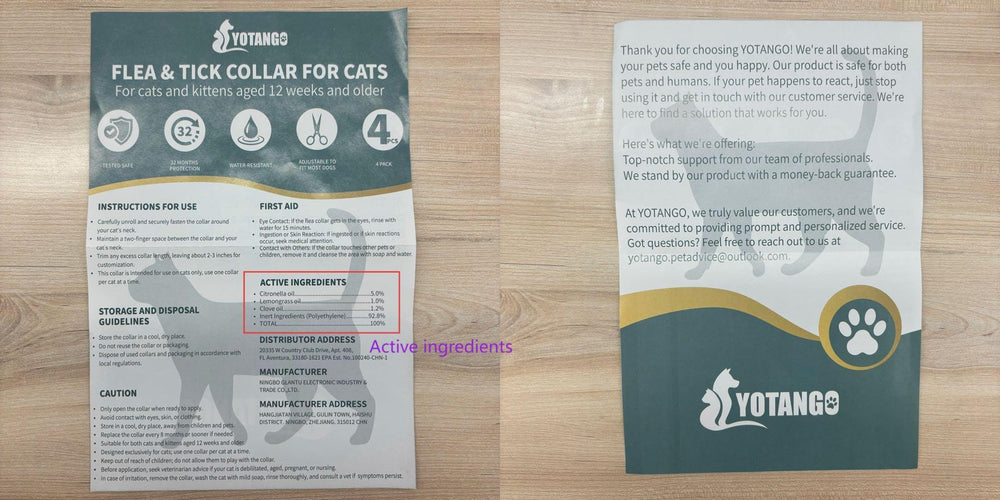 YOTANGO black color option flea collar detail highlights stylish yet functional design