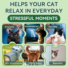 YOTANGO Cat Calming Treats close-up of chicken flavor appeals to picky cats.