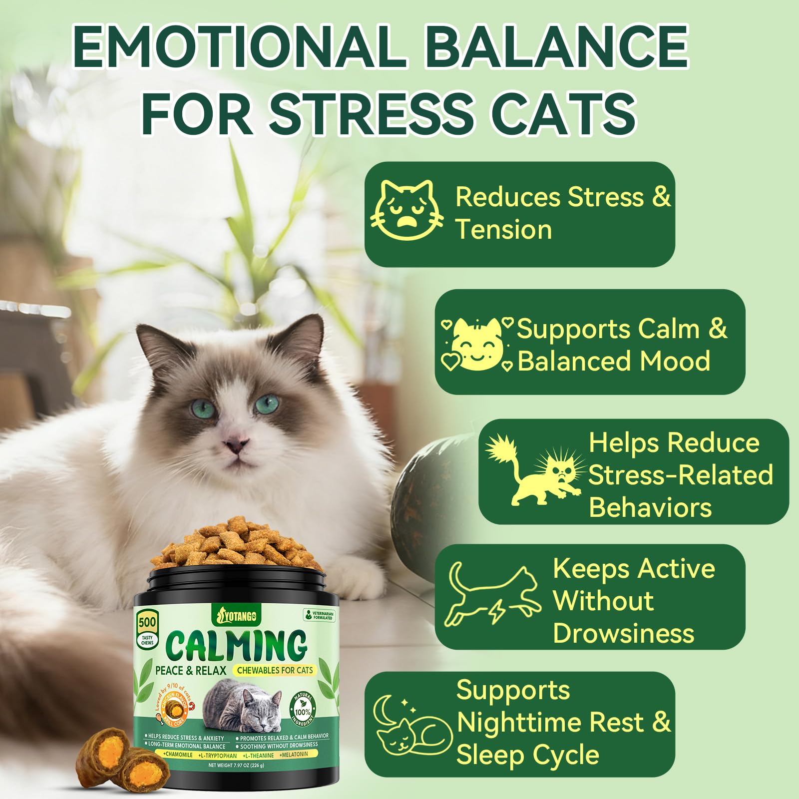 YOTANGO Cat Calming Treats serving bowl shows bite-sized calming care for mealtime.