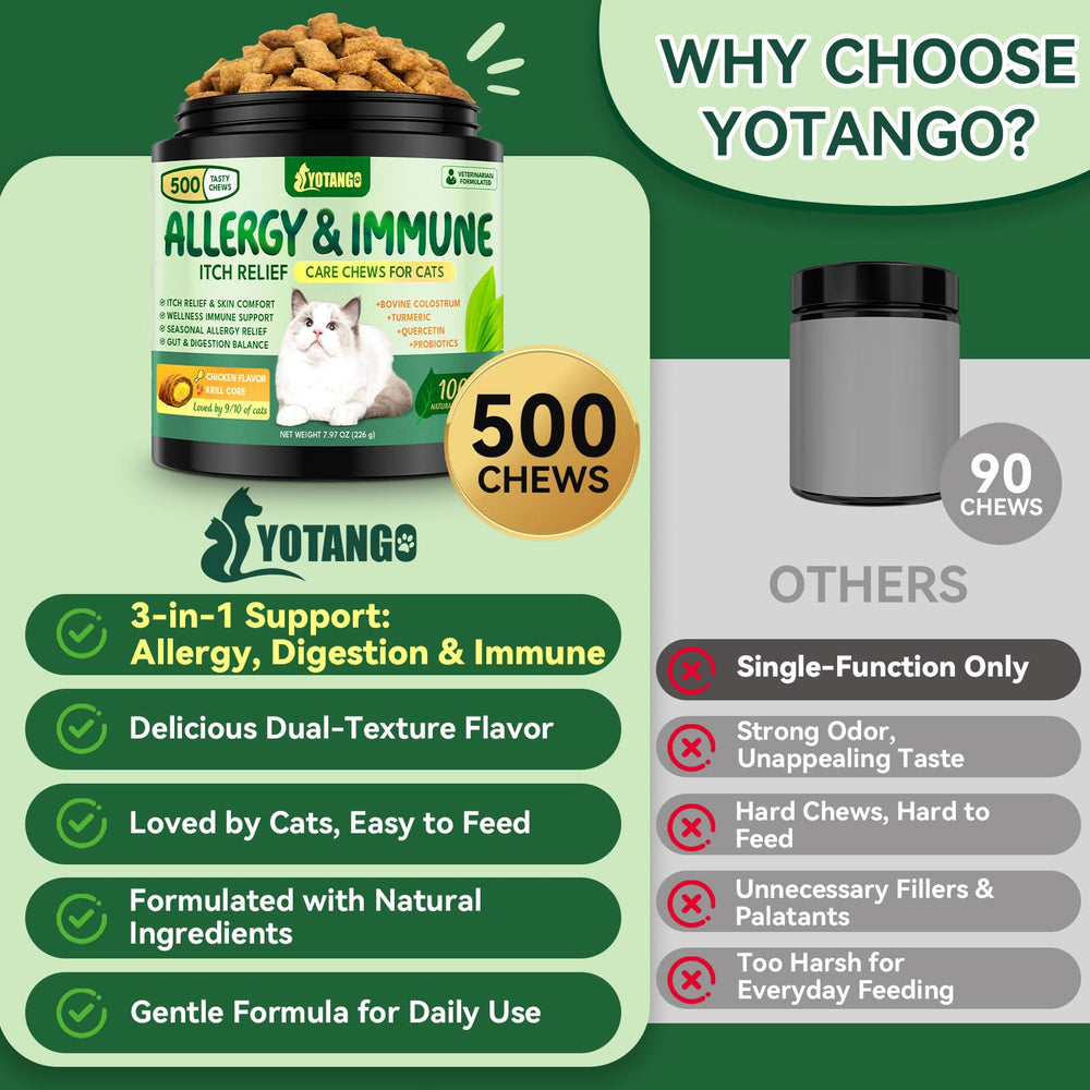 YOTANGO digestive balance chews beside probiotic bottle for gut health.
