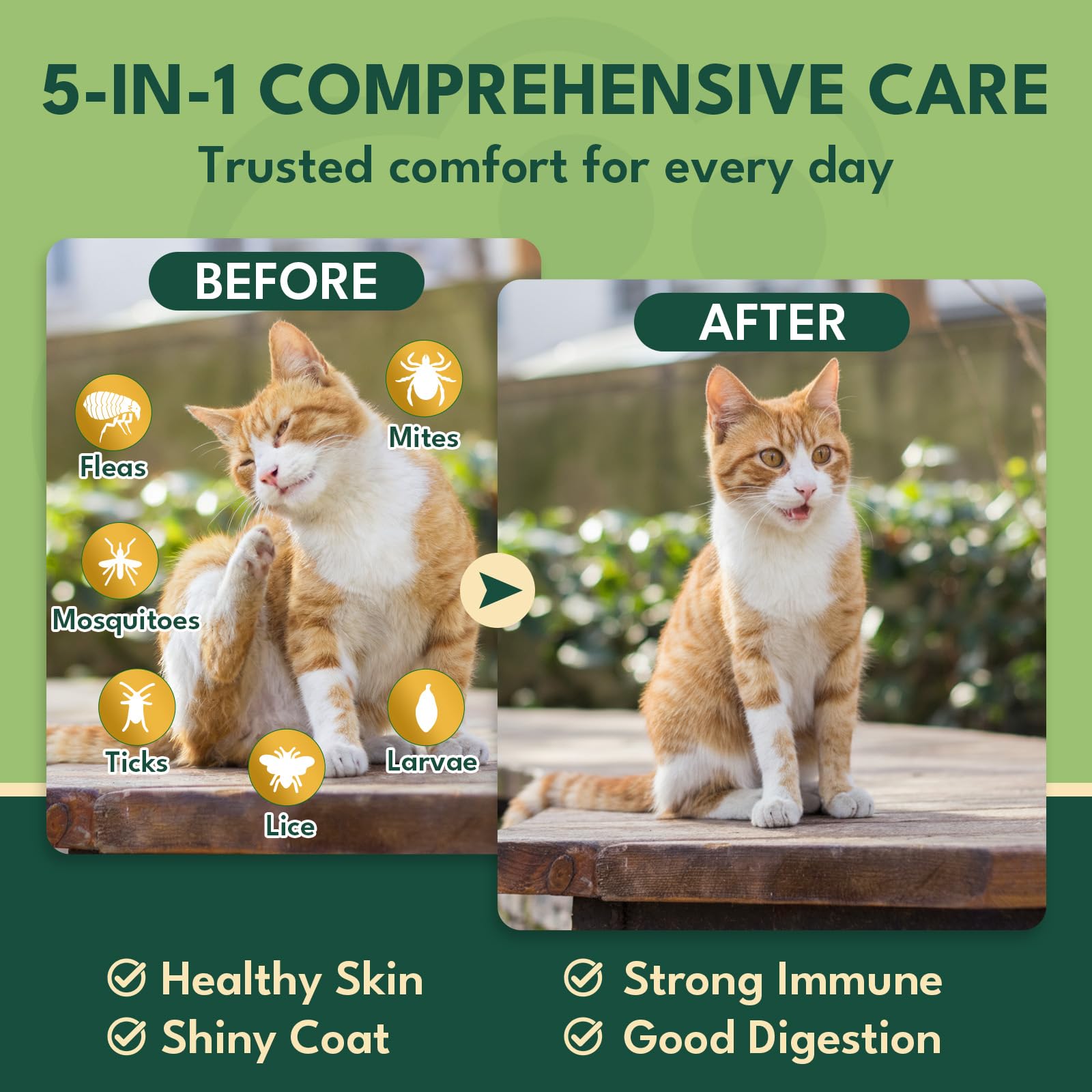 Salmon-flavored YOTANGO chews appealing to cats and kittens alike