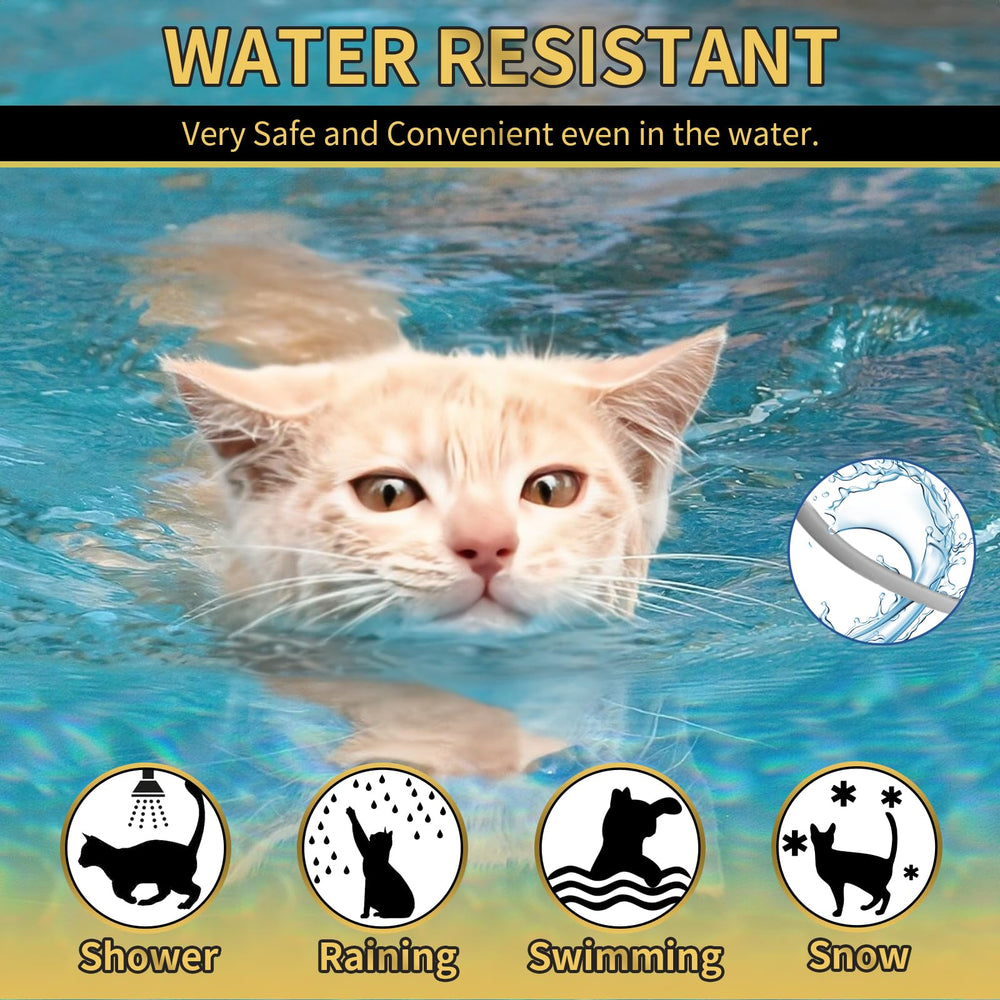 YOTANGO color options—stylish, adjustable protection for stylish cats.