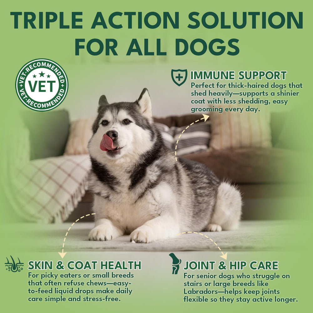 YOTANGO dog collagen bacon-flavor drops helps picky eaters enjoy a tasty supplement.