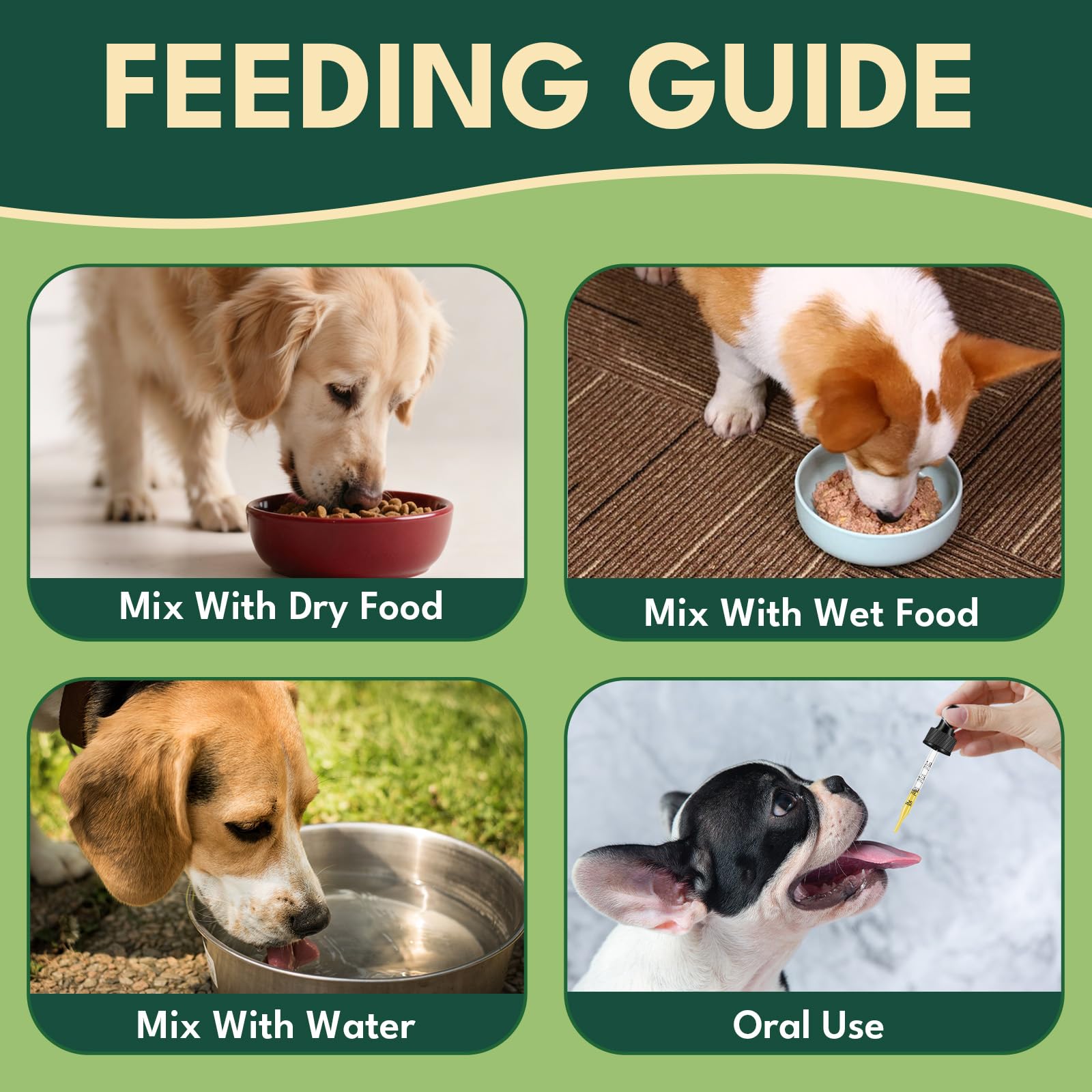 YOTANGO daily-use drops mix easily with food for all breeds.