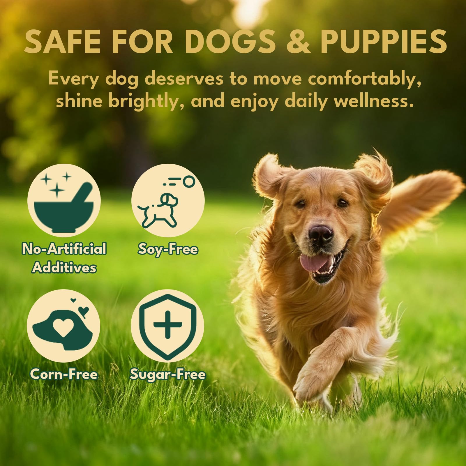 YOTANGO collagen for dogs supports healthy skin and shiny coat with daily nourishment.