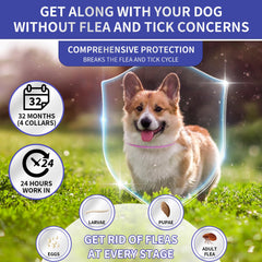 YOTANGO flea collar dogs 65cm adjustable length, ensuring secure fit for different breeds.