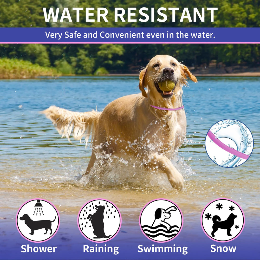 YOTANGO flea collar dogs water-resistant design suitable for rain, baths, and outdoor adventures.