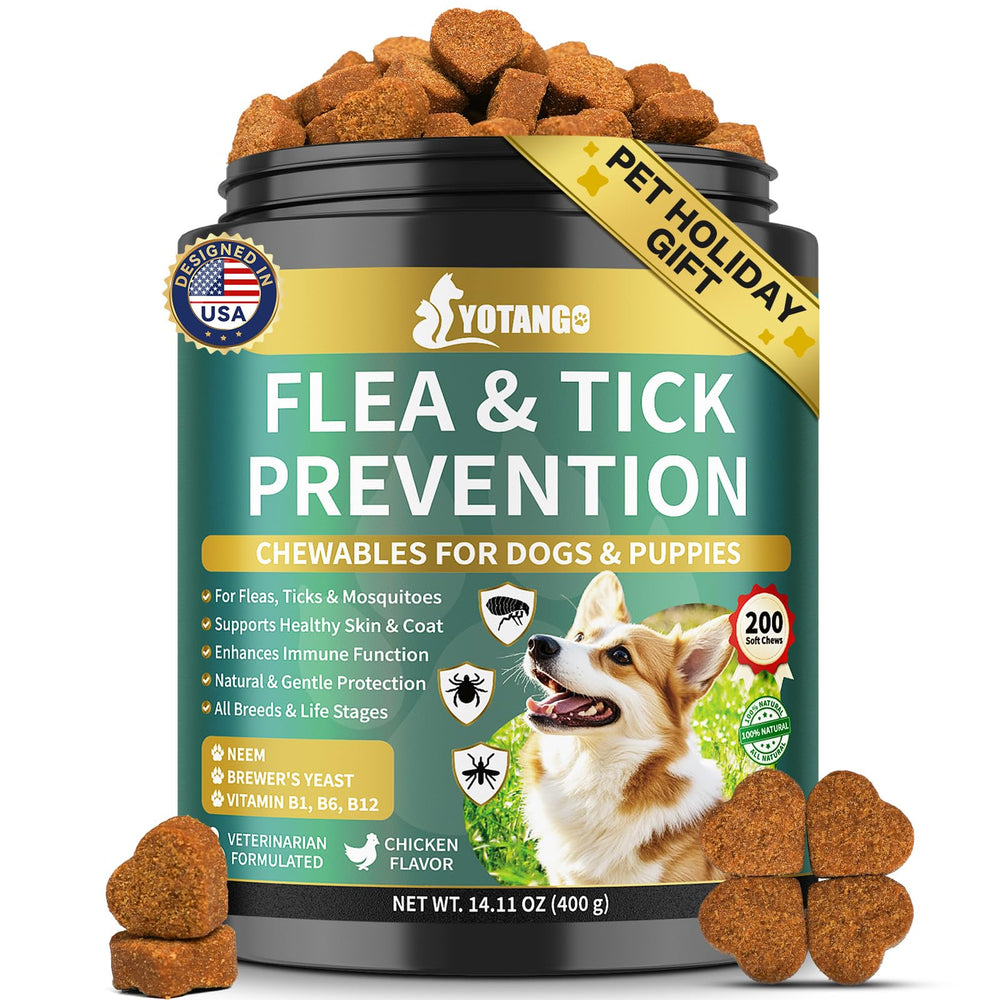 YOTANGO dog chews packaging highlights 200 soft treats for all breeds and easy daily use.