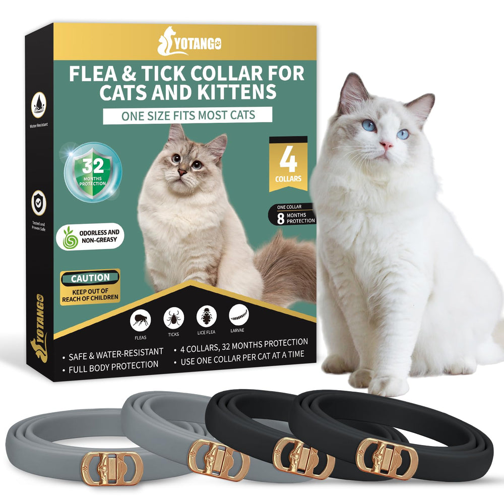 YOTANGO four-pack flea collar packaging offers value for pet parents.