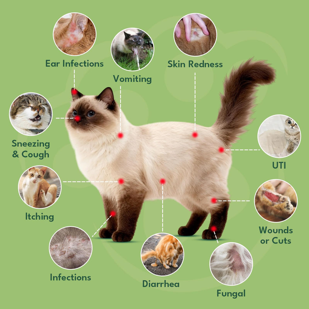 YOTANGO kitten-friendly liquid with chicken flavor simplifies daily nutrition and dosing.