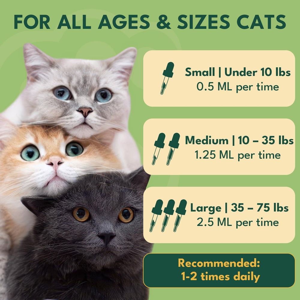 YOTANGO prebiotics and nutrients support digestive balance and nutrient uptake.