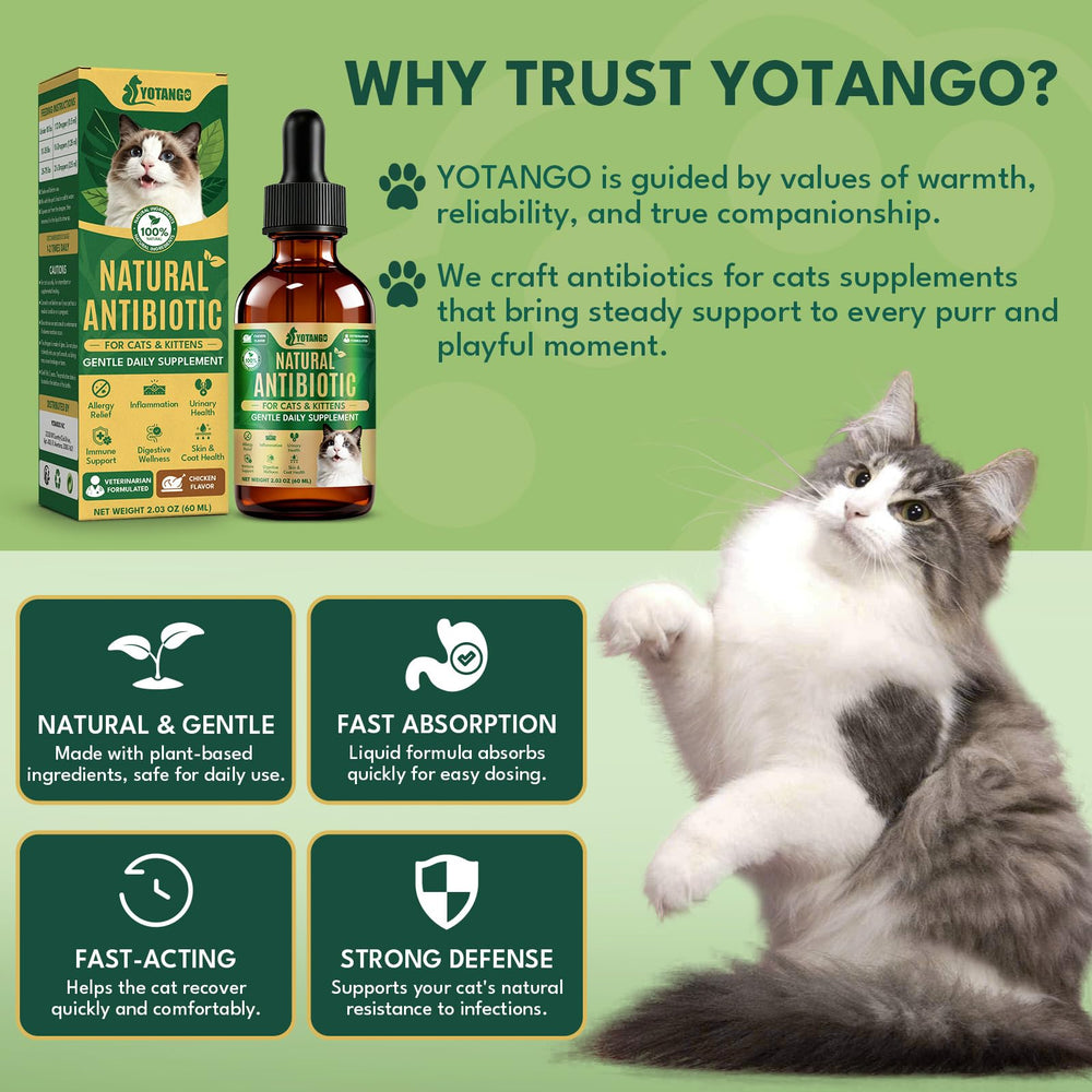 YOTANGO skin and coat support helps a healthy shine and comfort.
