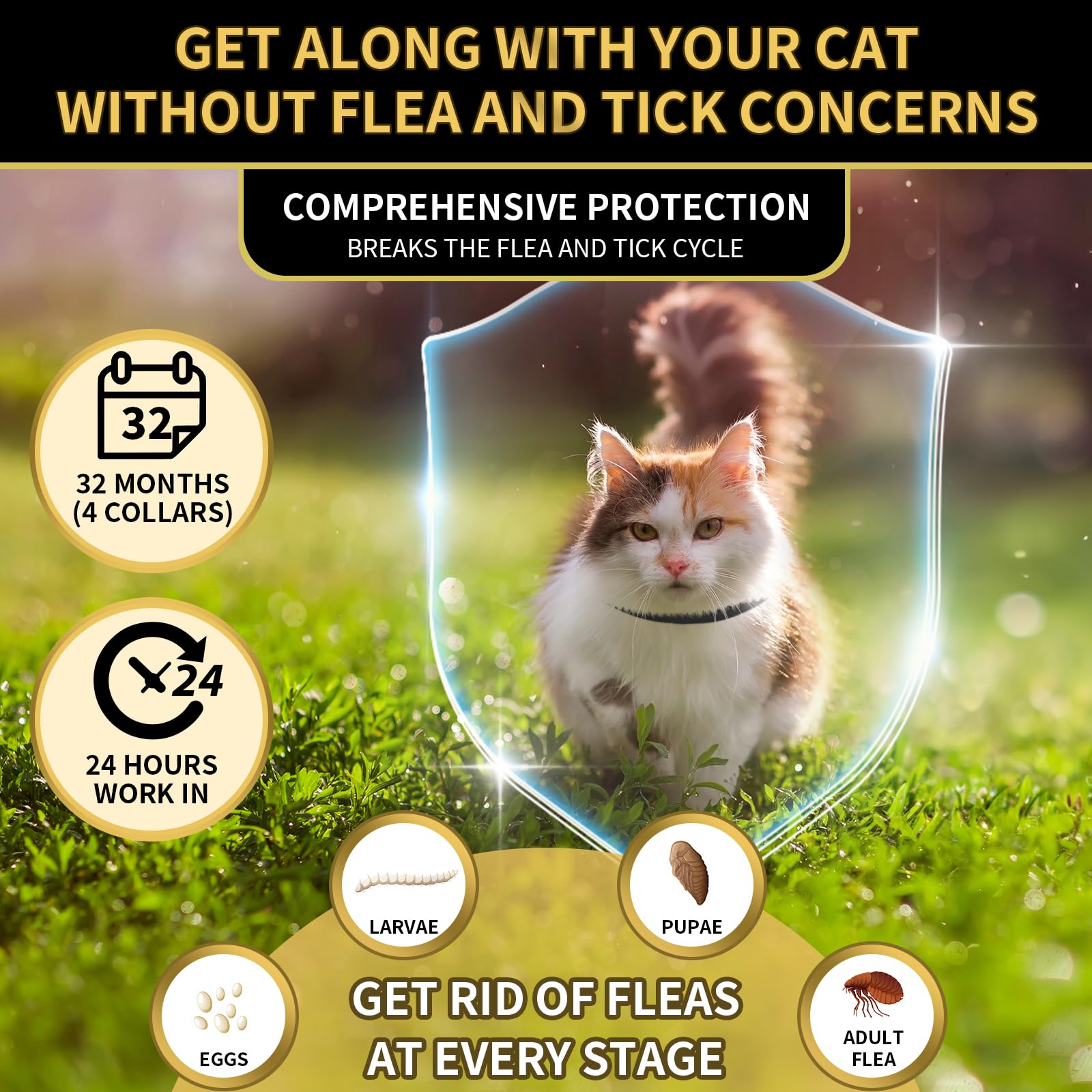 YOTANGO waterproof cat flea collar demonstrates water resistance for outdoor or rainy days