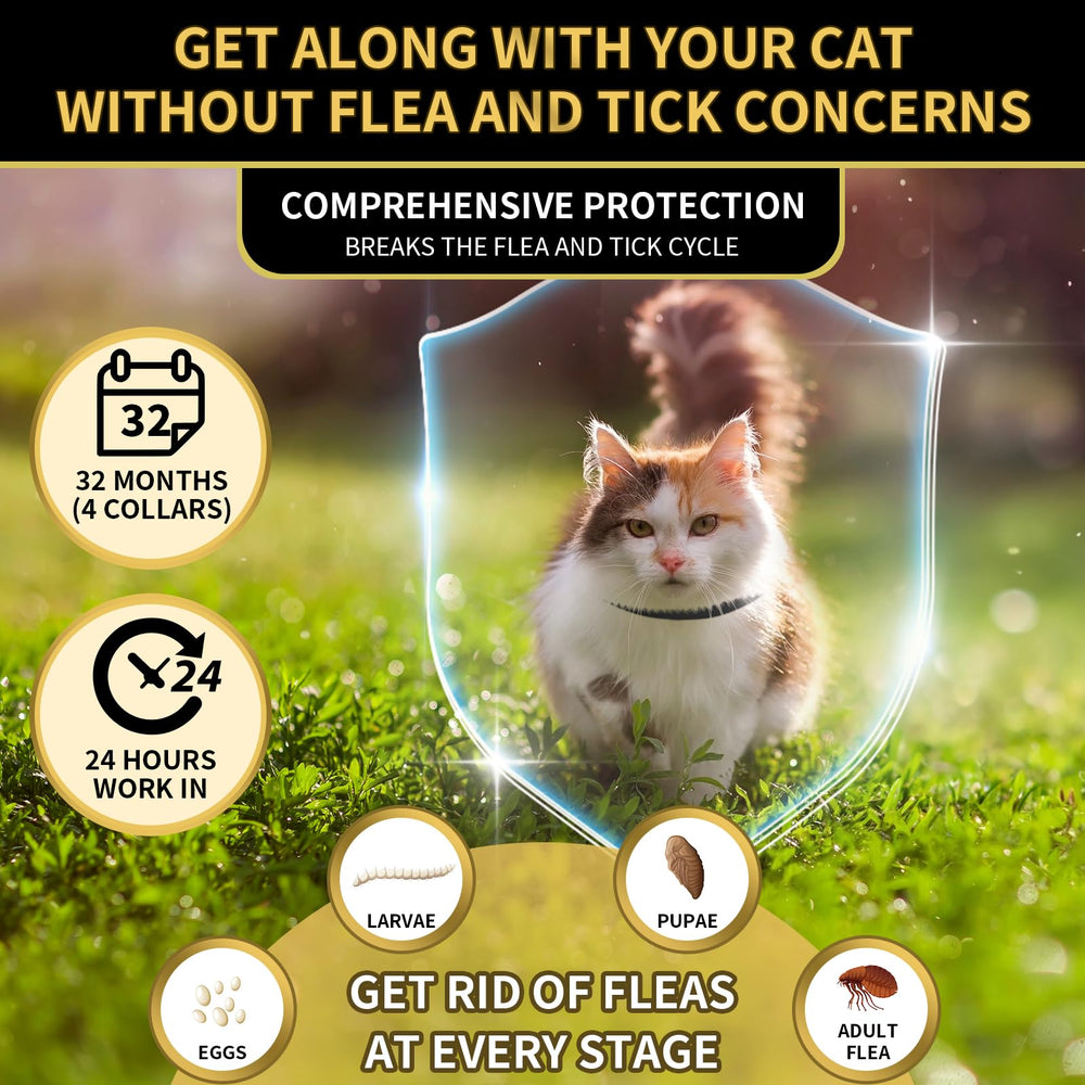 YOTANGO waterproof cat flea collar demonstrates water resistance for outdoor or rainy days