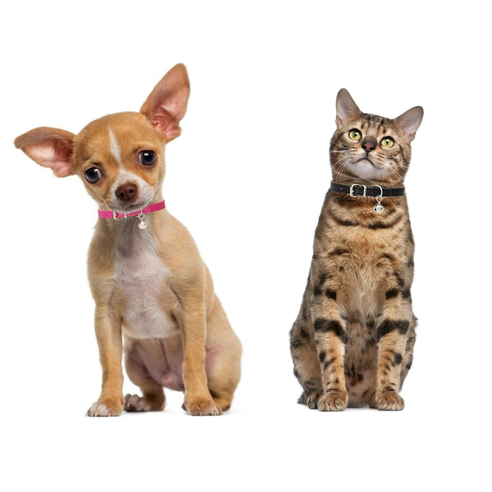 YOUALSO 13 color options collar lets you choose stylish looks