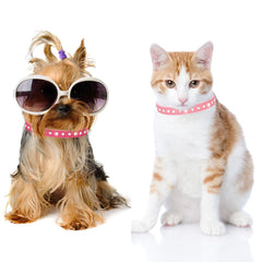 YOUALSO adjustable safety buckle ensures secure fit for XXS to XS pets.