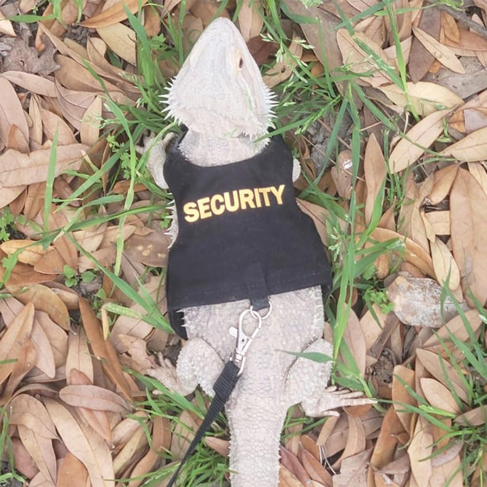 YOUALSO bearded dragon harness in soft canvas material for gentle wear