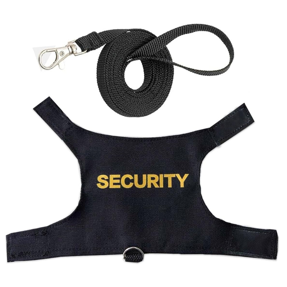 YOUALSO bearded dragon leash demonstrates durable build for outdoor adventures