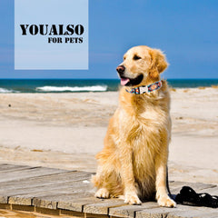 YOUALSO Boy Dog Collar buckle detail showing quick-release mechanism for easy on/off