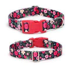 Closeup of YOUALSO dog collar quick-release buckle and sturdy nylon construction.