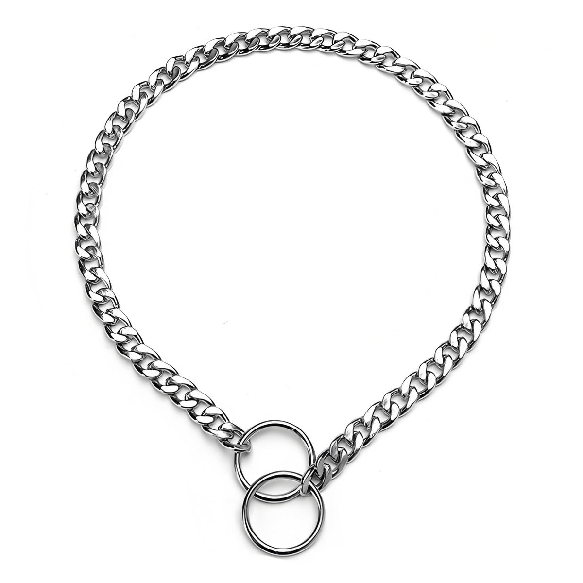 YOUALSO flat chain dog collar close-up in silver highlights durable metal links for reliable training cues.