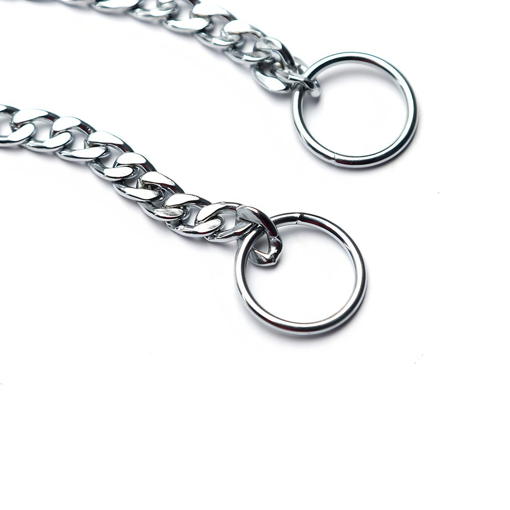 YOUALSO flat chain dog collar chrome-plated links resist rust for long-lasting training use.