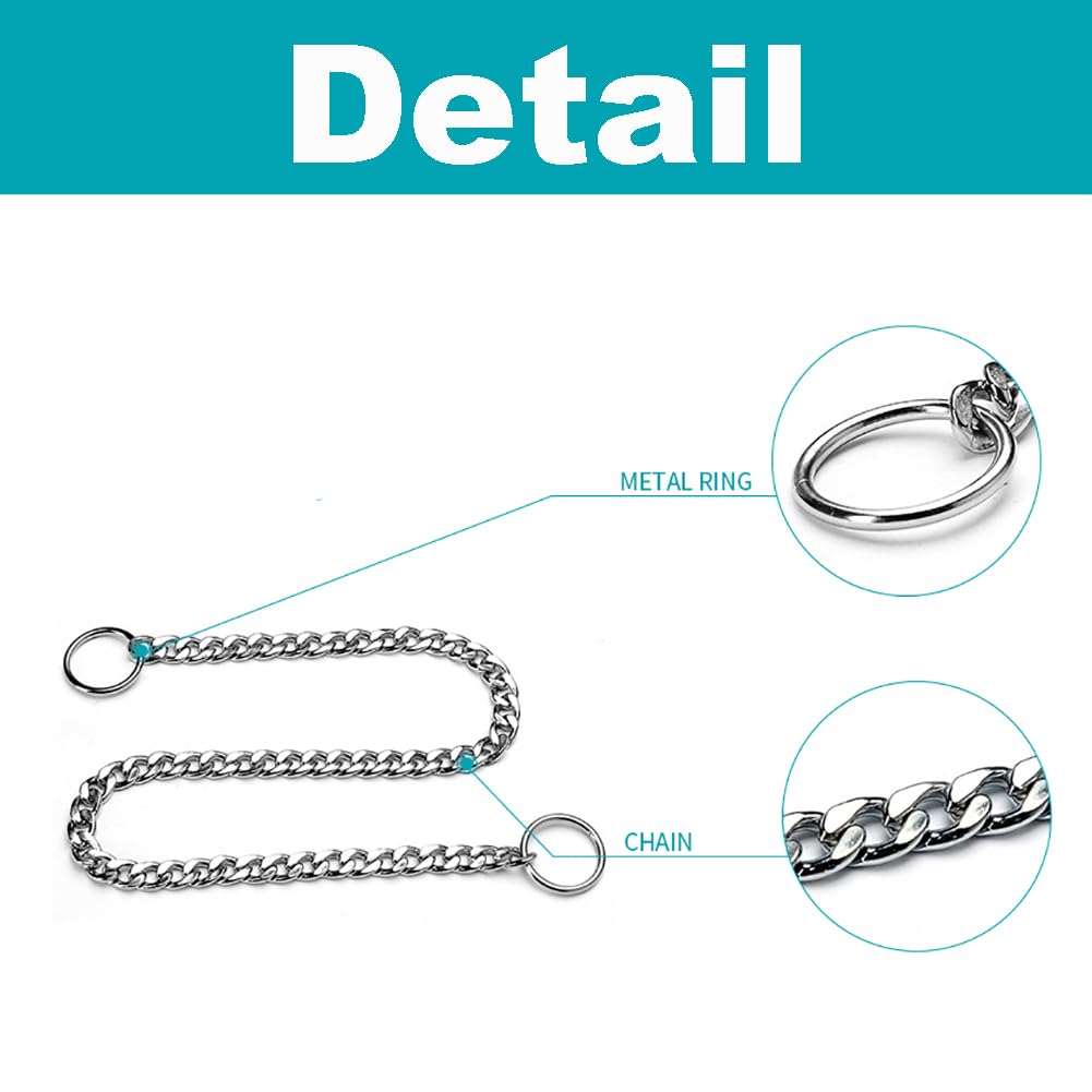 YOUALSO flat chain dog collar worn on dog demonstrates quick-control during daily walks.