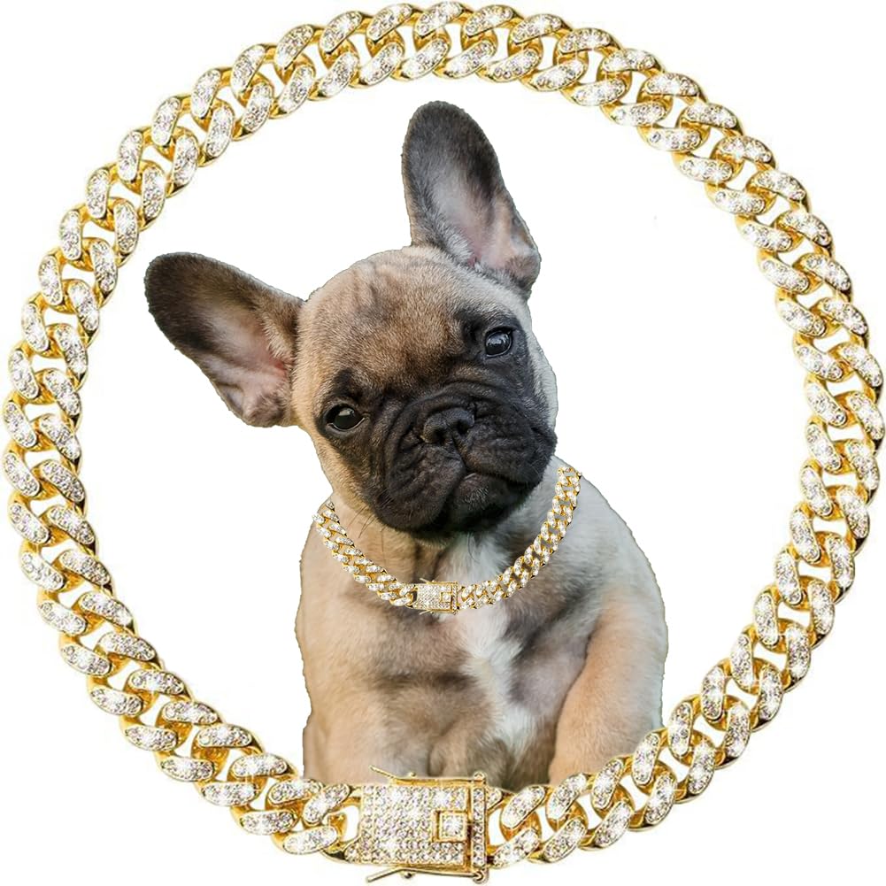 YOUALSO gold chain dog collar 16-inch front view with sparkling rhinestones for photo-ready style.