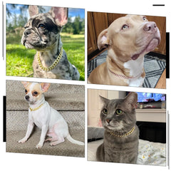 YOUALSO gold chain dog collar 16-inch side view highlighting durable zinc alloy build.