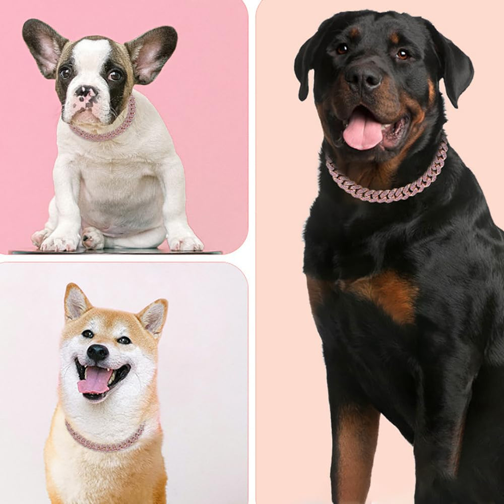 YOUALSO gold chain dog collar worn by a dog during daily walks for lightweight comfort.