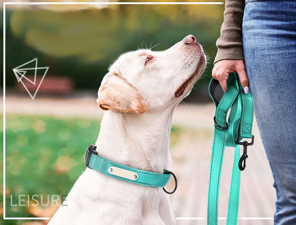YOUALSO heavy-duty dog leash with 360 degree rotating clasp to prevent tangling