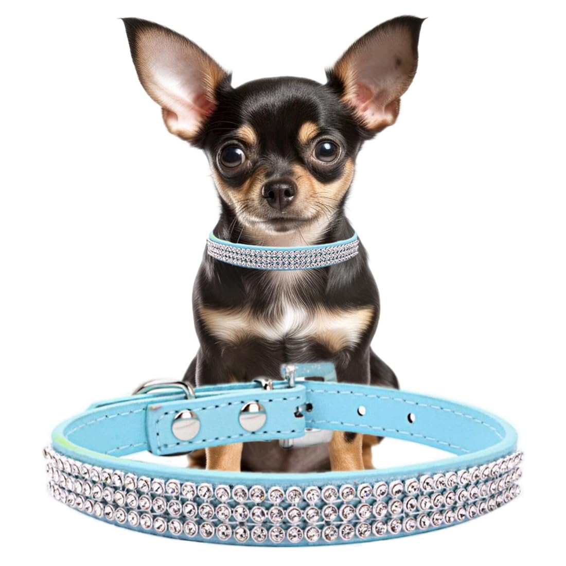 YOUALSO light blue sparkly dog collar closeup reveals rhinestones for eye-catching sparkle