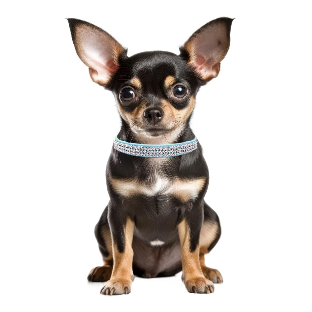 YOUALSO light blue sparkly dog collar worn on small dog shows stylish fit for tiny pets