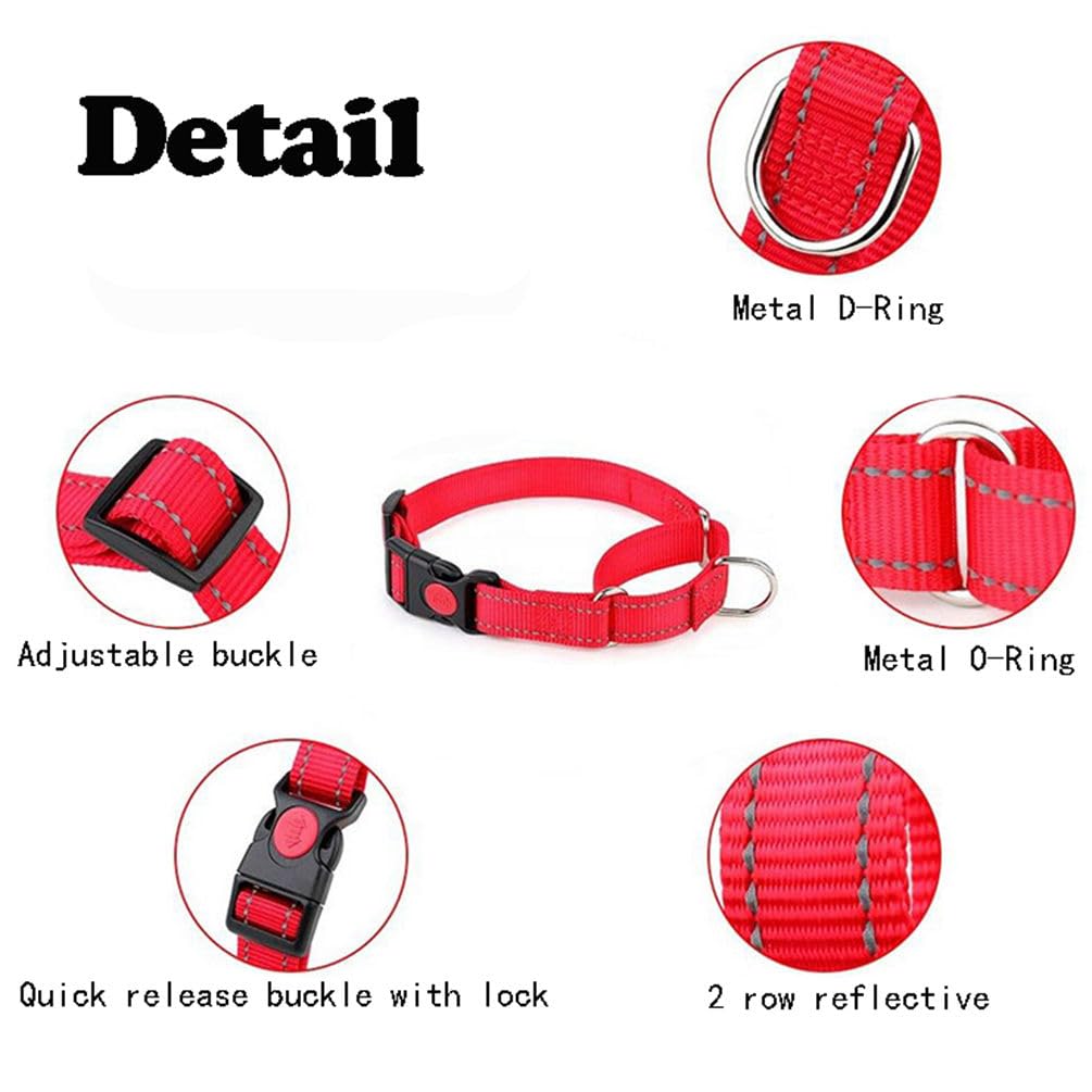 YOUALSO Martingale Collar nickel hardware close-up shows durable construction