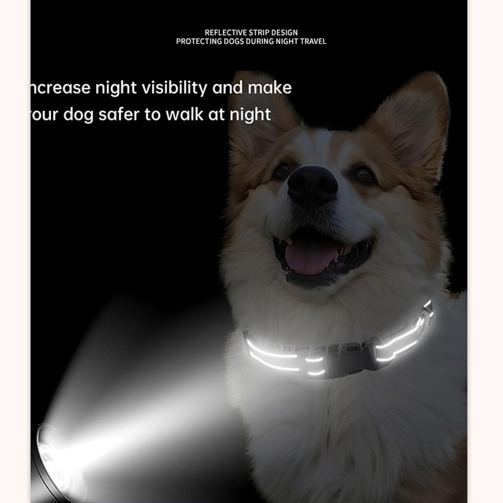 YOUALSO Martingale Collar training-use view highlights guidance for behavior work