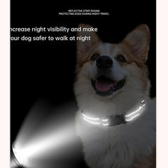 YOUALSO Martingale Collar training-use view highlights guidance for behavior work