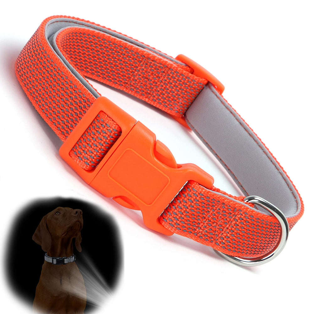 YOUALSO orange reflective dog collar with closed buckle for safe outdoor walks