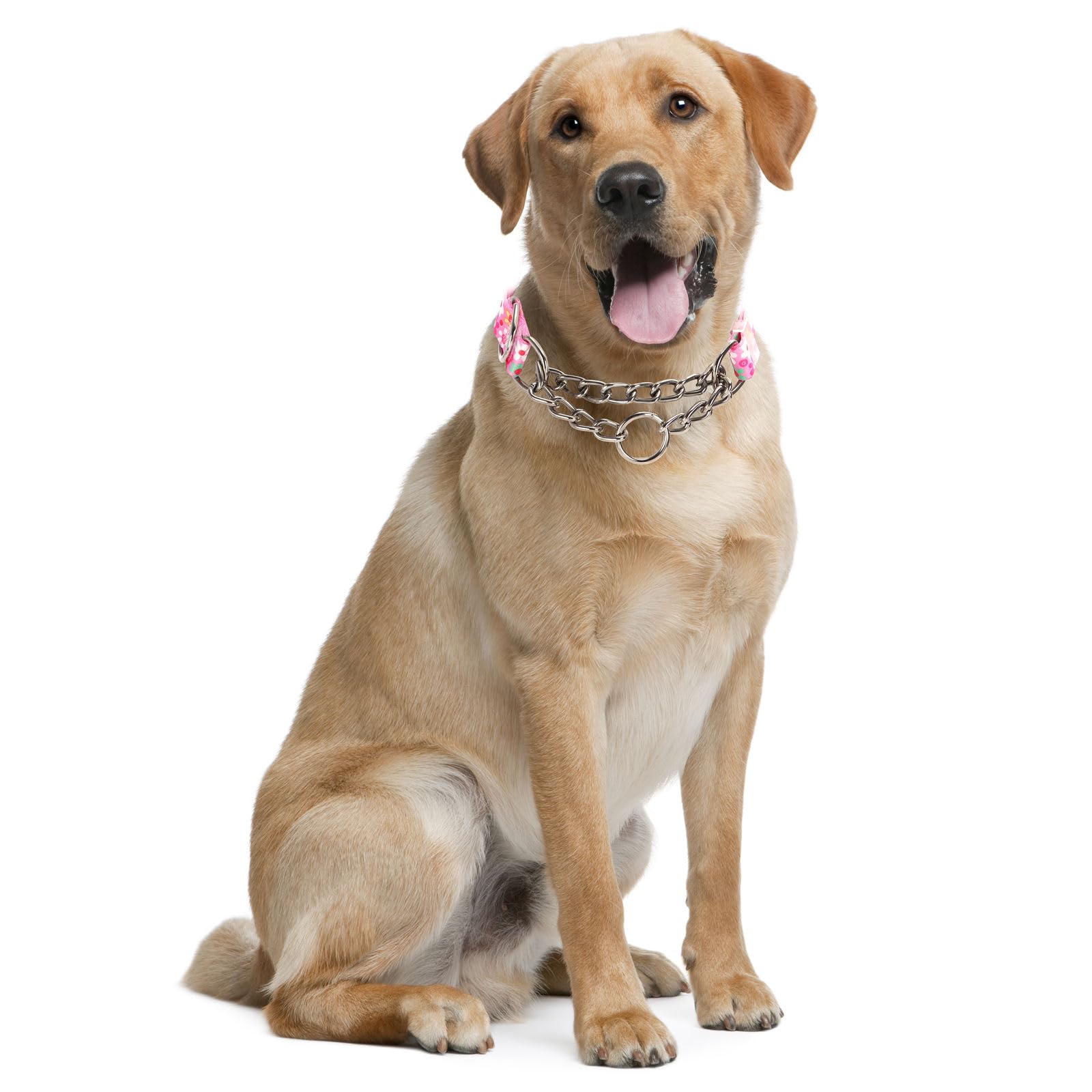 YOUALSO pink floral martingale collar side view shows durable chain and no-slip design.