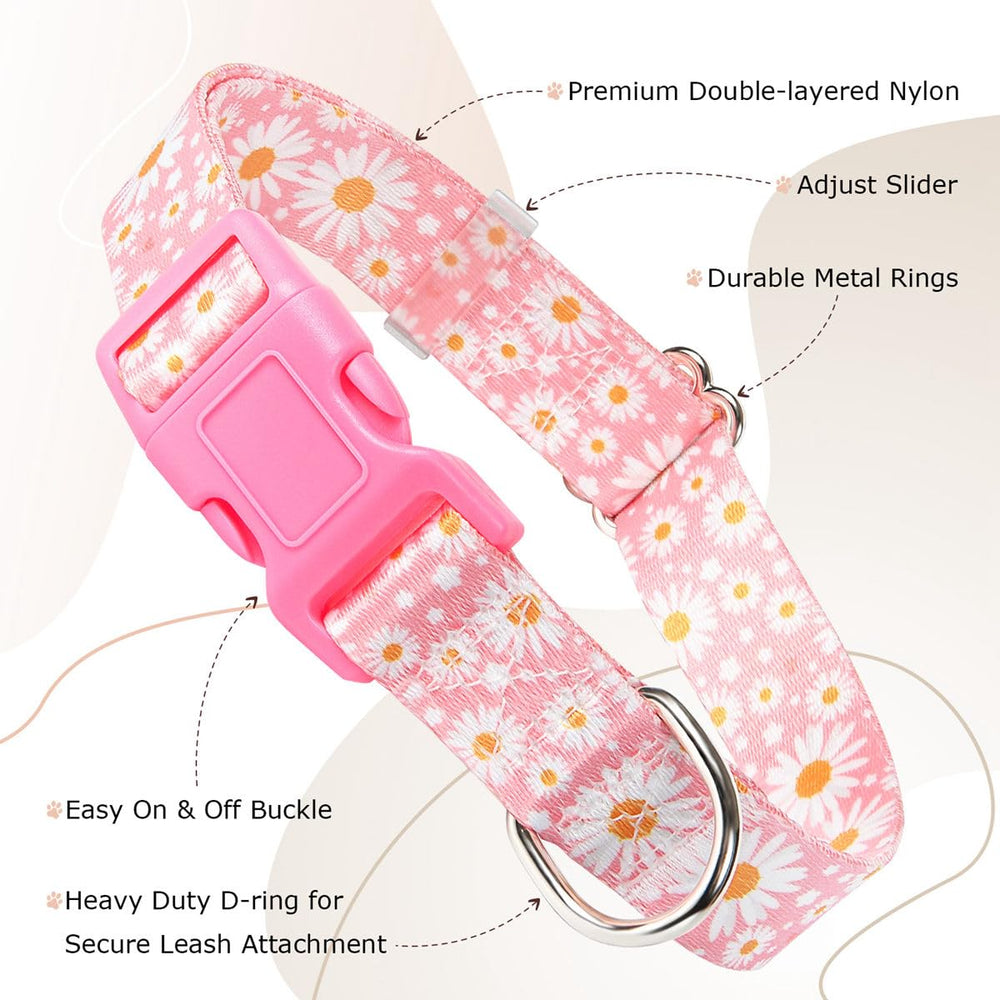 YOUALSO purple dog collar soft nylon for comfortable daily wear