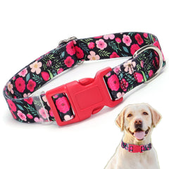 YOUALSO red floral collar with quick-release buckle on a dog's neck for daily walks.