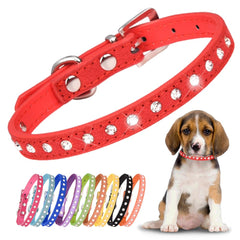 YOUALSO red rhinestone dog collar closeup highlights sparkling crystals on small dogs.