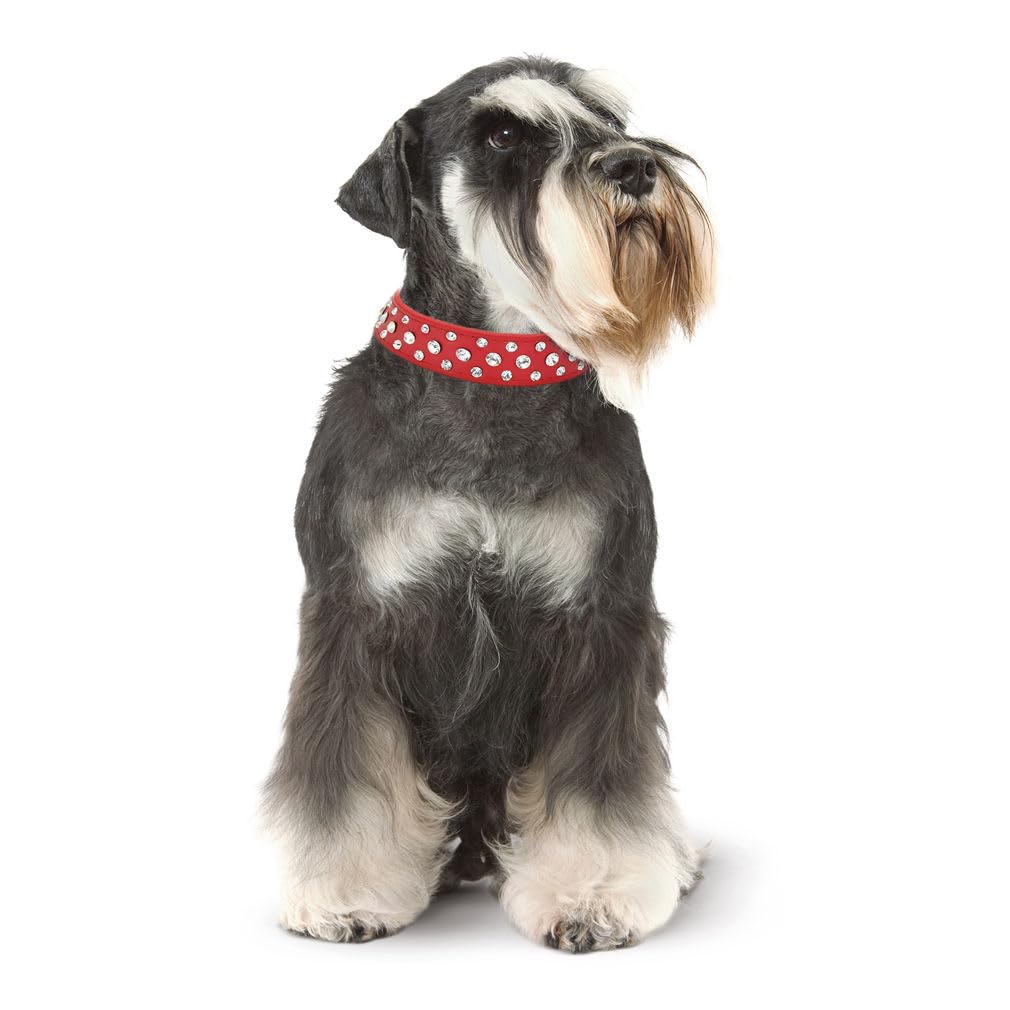 YOUALSO red rhinestone dog collar in faux leather soft and breathable for daily wear