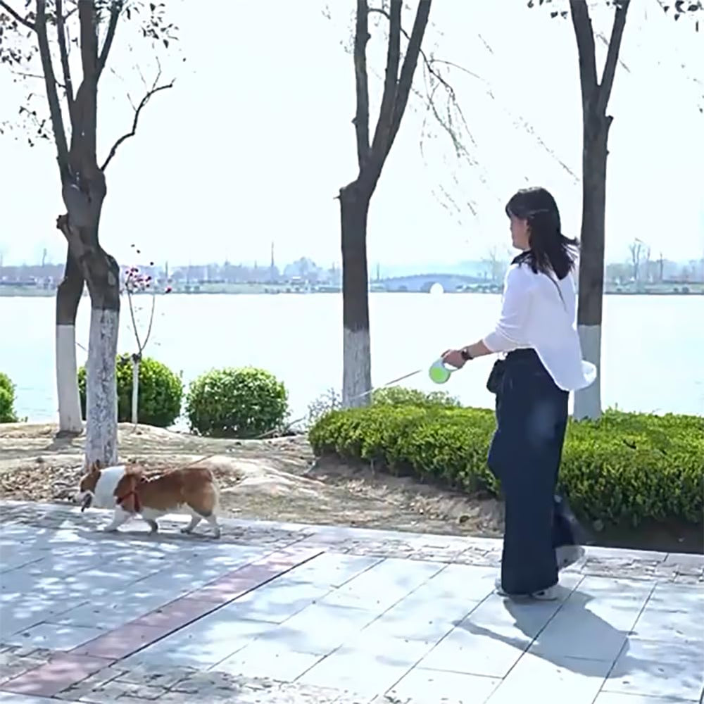YOUALSO retractable leash demonstrates 360-degree tangle-free movement for safe exploration.