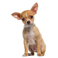 YOUALSO Silver Bling Dog Necklace side view highlighting heart charm and shine