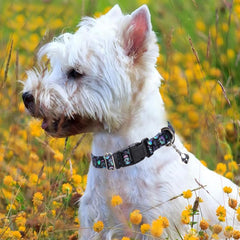 YOUALSO Skull Dog Collar with Bell detachable bell detail for flexible styling.